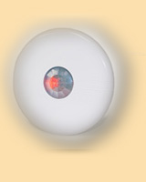 ROKONET RK-150DTG3 LUNAR
